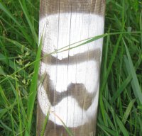 Schild Donauwanderweg