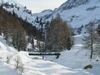 Bruecke unterhalb der Alm