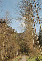 Exotenwald Weinheim